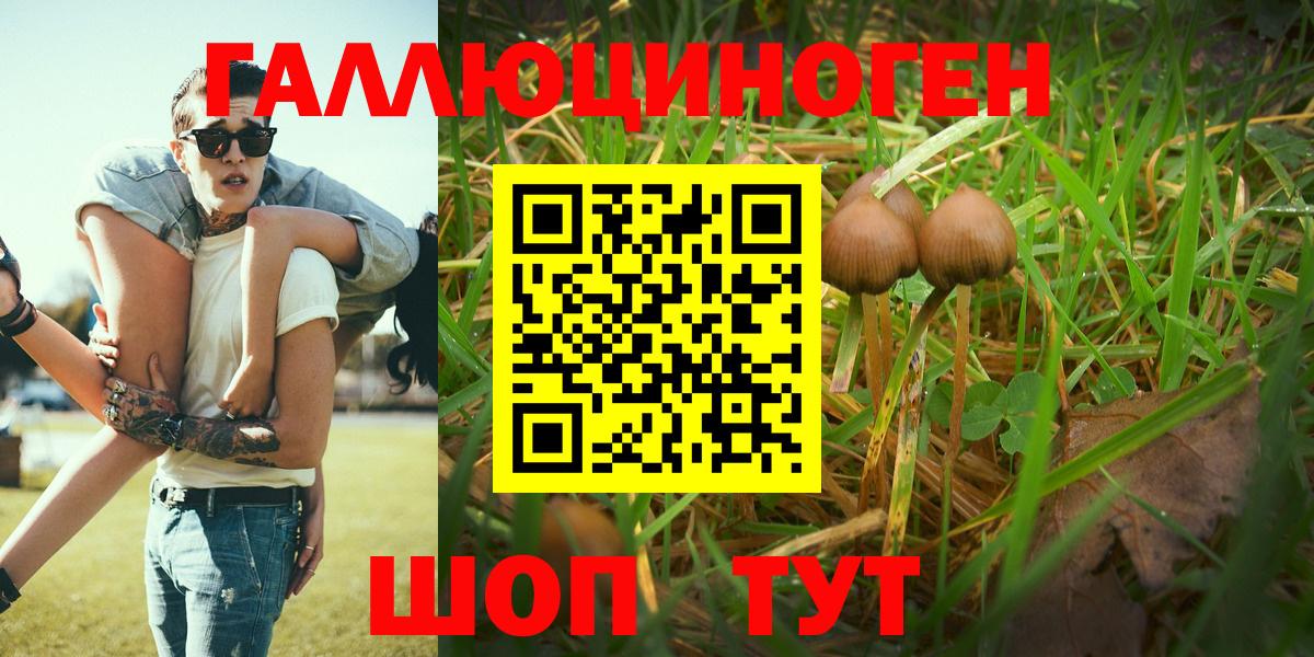 как найти наркотики  Галлюциногенные грибы мухоморы  Галлюциногенные грибы MAGIC MUSHROOMS  Вход с VPN  Печора 