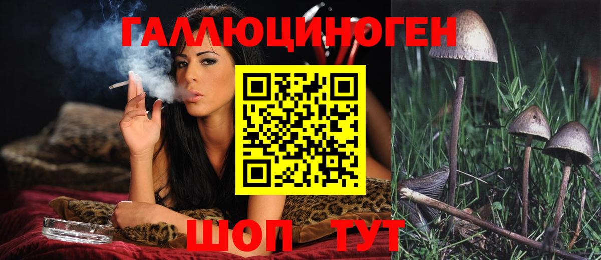 Псилоцибиновые грибы прущие грибы Печора